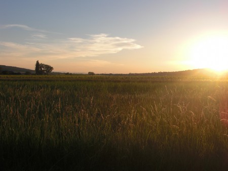 Leithagebirgs-Romantik